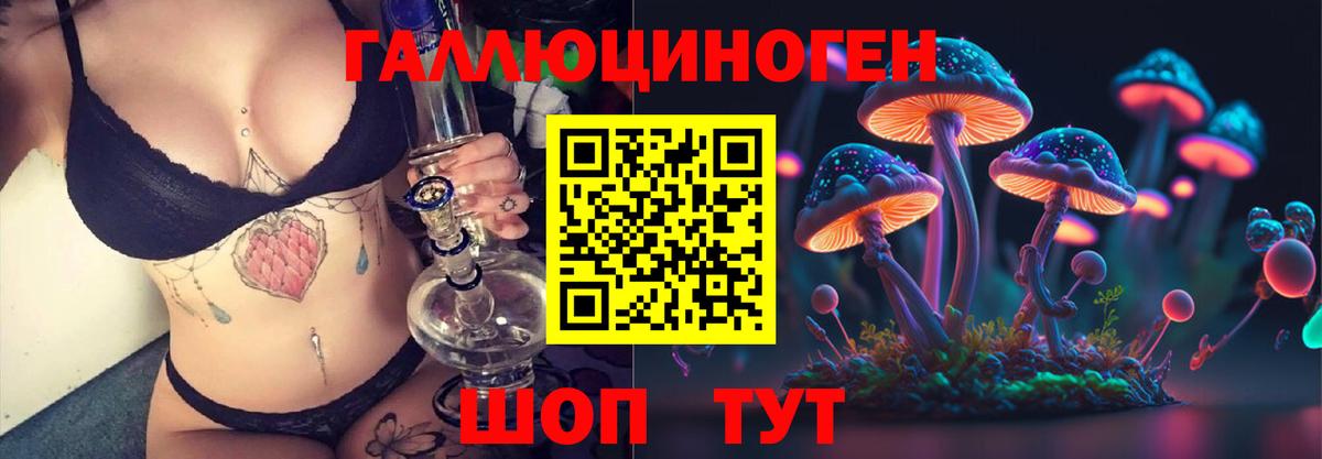 Псилоцибиновые грибы Cubensis Губкин